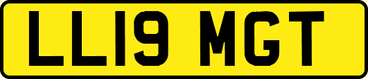 LL19MGT