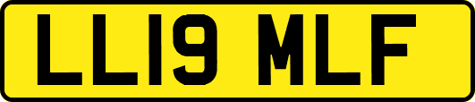 LL19MLF