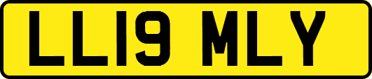 LL19MLY