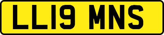 LL19MNS