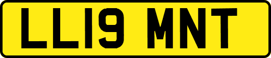 LL19MNT