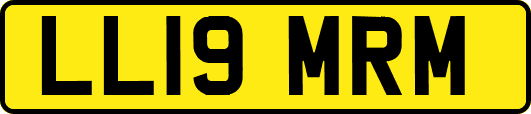 LL19MRM