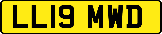 LL19MWD