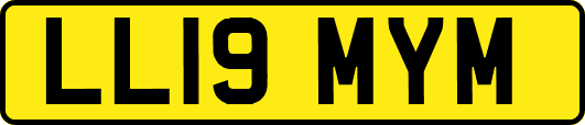 LL19MYM