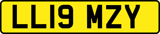 LL19MZY