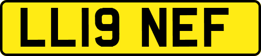 LL19NEF