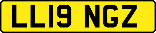 LL19NGZ