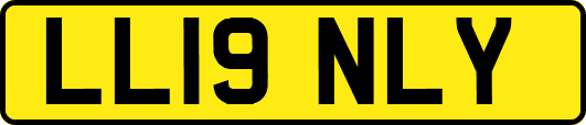 LL19NLY