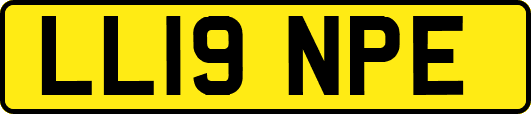 LL19NPE