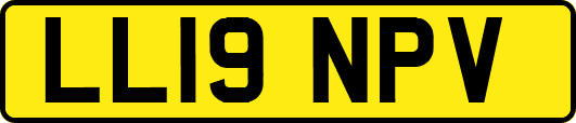 LL19NPV