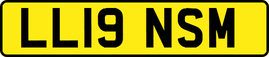 LL19NSM