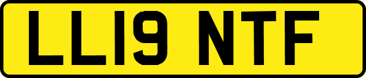 LL19NTF