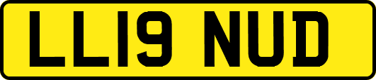 LL19NUD