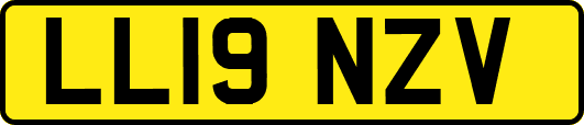 LL19NZV