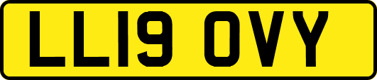 LL19OVY
