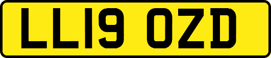 LL19OZD