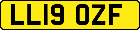 LL19OZF