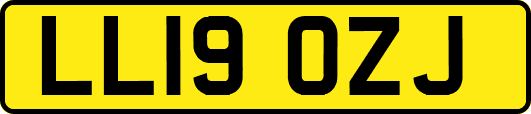 LL19OZJ