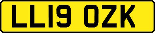 LL19OZK