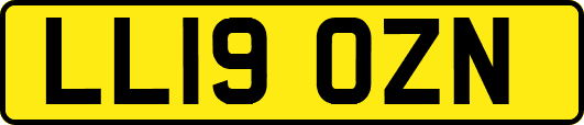 LL19OZN