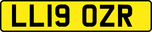 LL19OZR