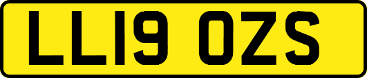 LL19OZS