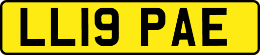 LL19PAE
