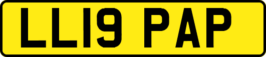 LL19PAP