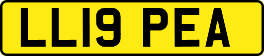 LL19PEA