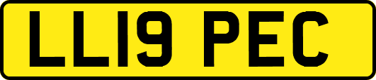 LL19PEC