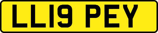 LL19PEY