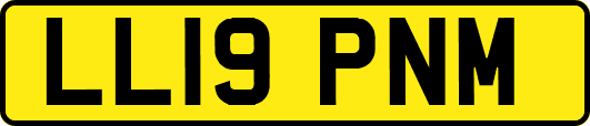 LL19PNM
