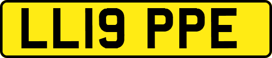 LL19PPE