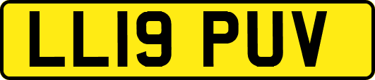 LL19PUV