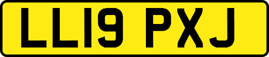 LL19PXJ