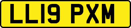 LL19PXM