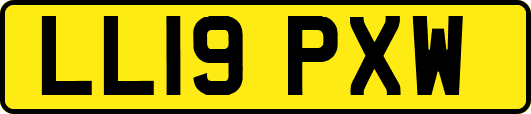 LL19PXW