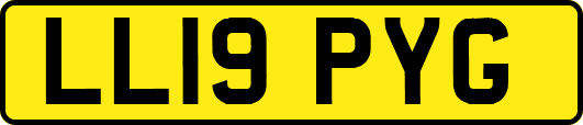 LL19PYG