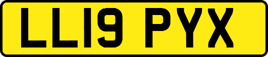 LL19PYX