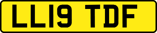 LL19TDF