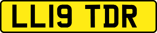 LL19TDR