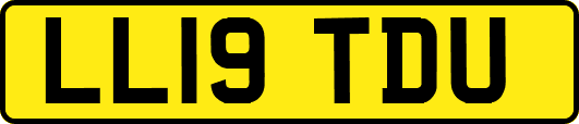 LL19TDU