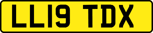 LL19TDX