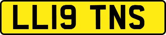 LL19TNS