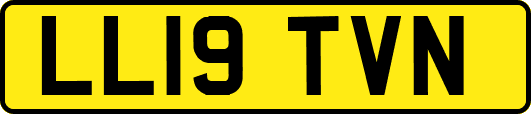 LL19TVN