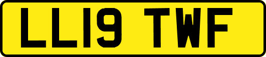 LL19TWF