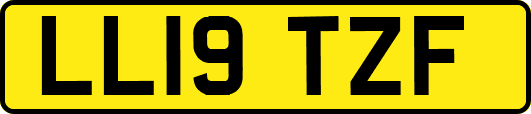 LL19TZF