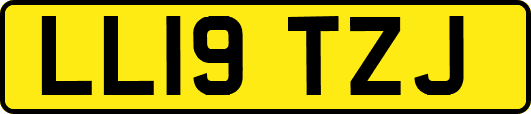 LL19TZJ