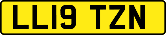 LL19TZN