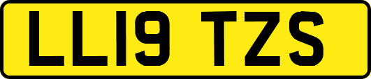 LL19TZS